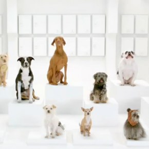 Comercial Volkswagen The Bark Side 2012
