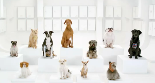 Comercial Volkswagen The Bark Side 2012