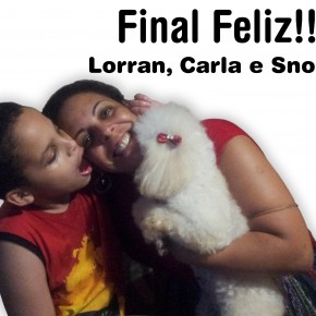 Adoção: Uma cachorrinha para Lorran