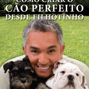 Como criar o cão perfeito desde filhotinho - PROMO!