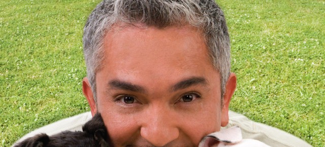 Como criar o cão perfeito desde filhotinho - PROMO!