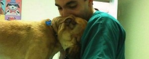 São Paulo terá hospital público para cães e gatos